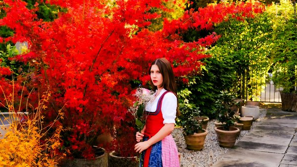 Protégez votre jardin des extrêmes grâce aux plants indigènes résistants